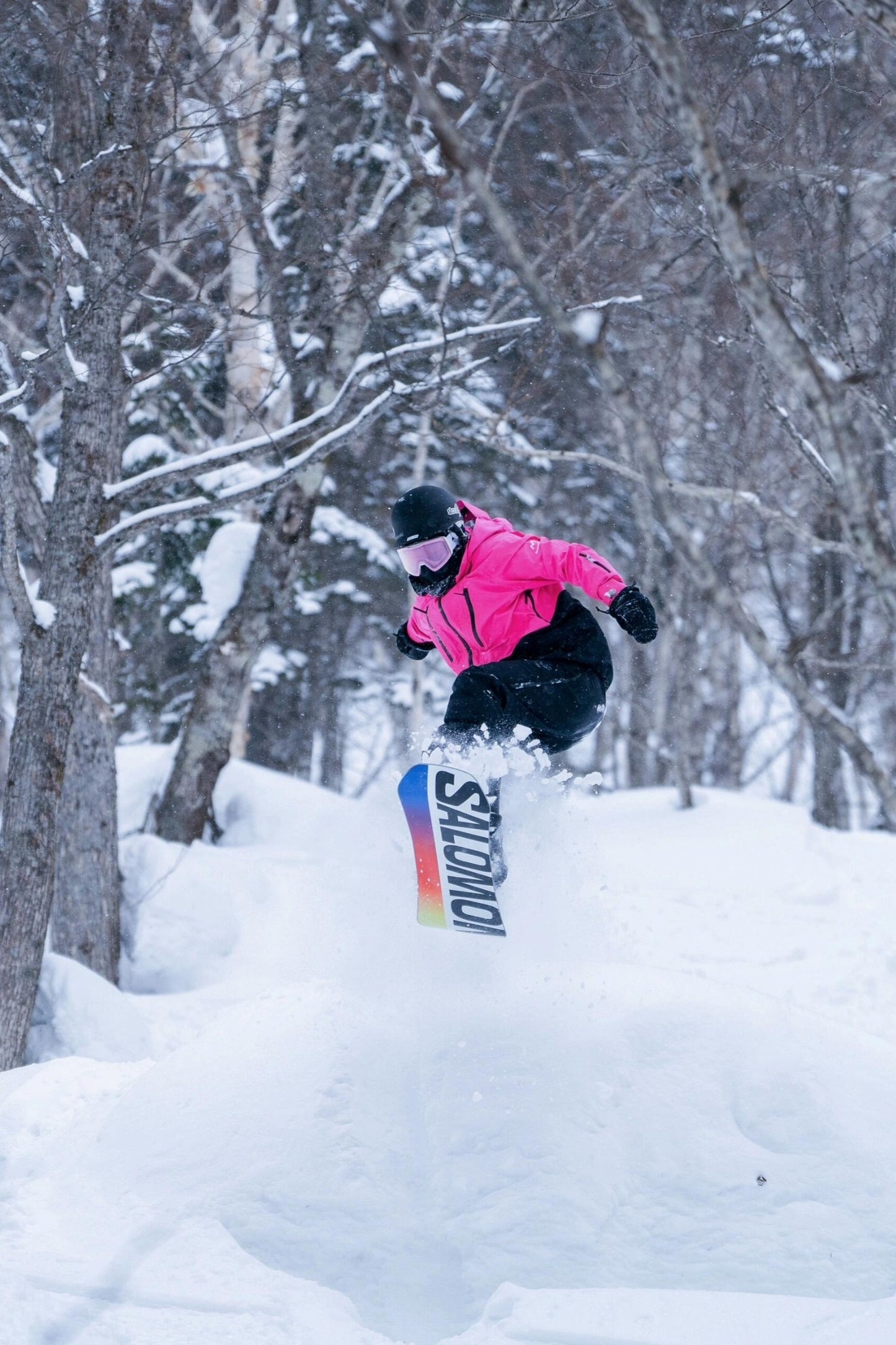 Altay Project 3L Ski Snowboard Jacket - Exile Space